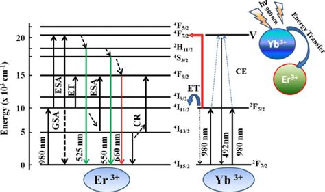 Energy level diagram for the UC photoluminescence mechanism of Er 3 þ –... | Download Scientific ...