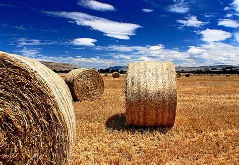 landscape, hays, summer, crop, Hay, farm, rolled Up, sky, field ...