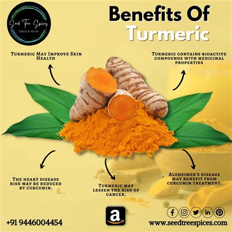 Fresh turmeric online | high quality turmeric | Seed Tree Spices : r ...