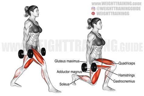 The Bulgarian Split Squat: Which Side Should You Load?, 45% OFF