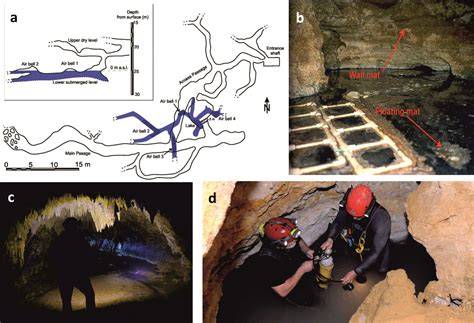 Spectacular creatures in a poisonous sulphidic atmosphere – Movile cave, Romania – 5.5 million ...