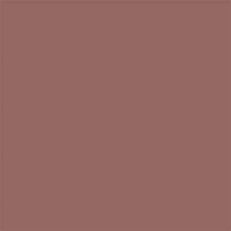 Cocoa Brown ProLine – Rit Dye