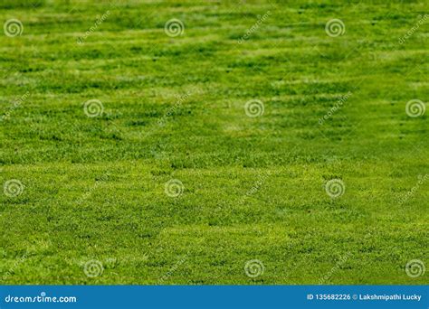 Football Court with Green Grass Daytime Empty Stock Photo - Image of flag, artificial: 135682226