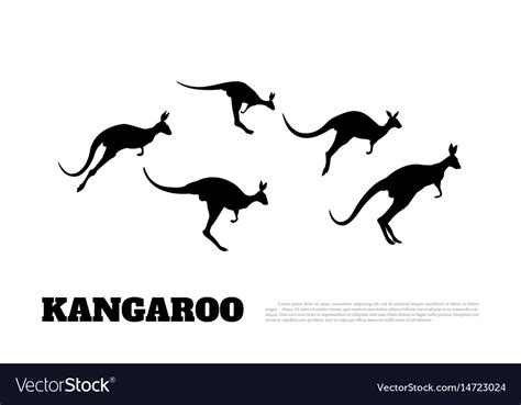 Black silhouettes of jumping kangaroos Royalty Free Vector