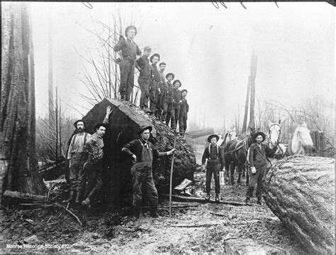 0092 – Crew standing on a huge log at the Cedergreen and Smith Logging Camp near Monroe | Monroe ...