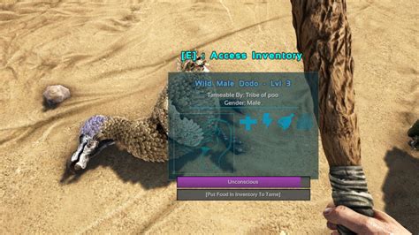 ARK: Survival Evolved Beginner Guide: Tips and Tricks to Get Started - Touch, Tap, Play