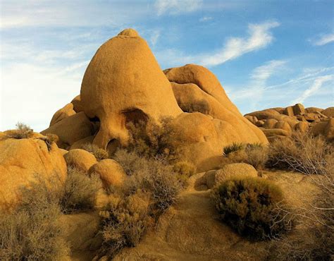 All This Is That: At Skull Rock in Joshua Tree National Park