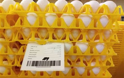 Case study: Oskaloosa Food Products tracks eggs from farm to breaker - Ovotrack