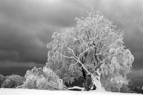 Aftermath Part II: Texas Winter Storm Legislative Hearings Review - Zpryme