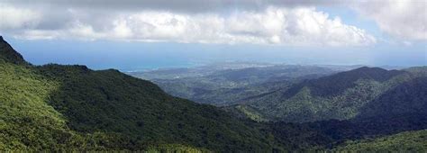 Best Hiking Trail (to the TOP) El Yunque National Forest Living In ...