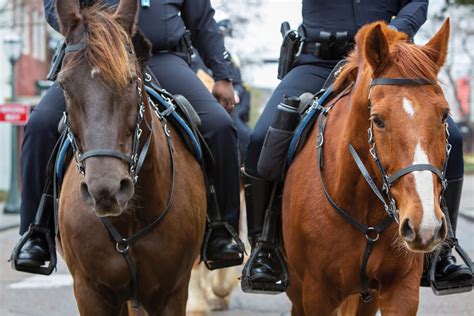 On the Beat with Mobile’s Mounted Police