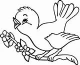 Coloring Bird Pages Nest Color Birds Tree Preschool Printable Ocelot  sketch template