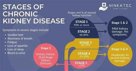 Chronic Kidney Disease Causes