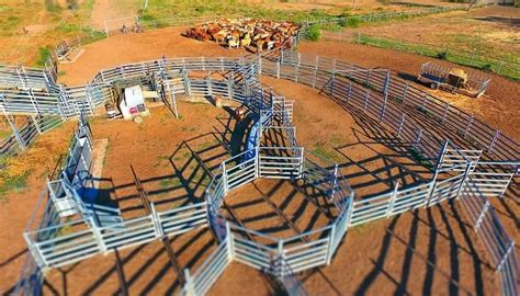 How To Build Your Own Cattle Yard? - Construction News