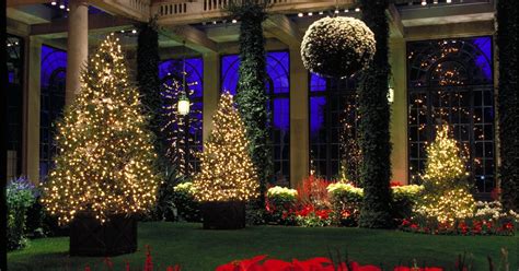 Longwood Gardens Christmas light show | PhillyVoice