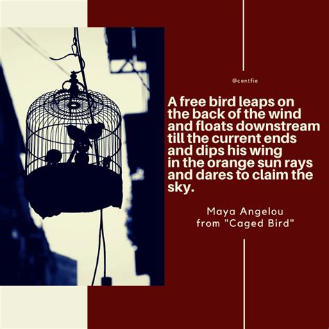 I Know Why the Caged Bird Cannot Read Rhetorical Analysis - Ayala Buis1975