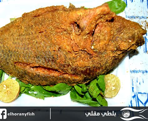 سمك بلطي مقلي Steak, Turkey, Food, Turkey Country, Essen, Steaks, Meals, Yemek, Eten