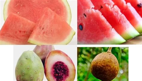 Fruits That Start With X List