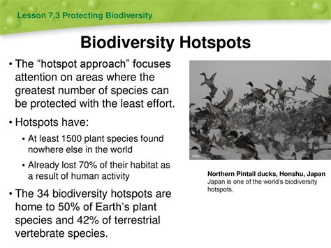 Biodiversity and Conservation - ppt download