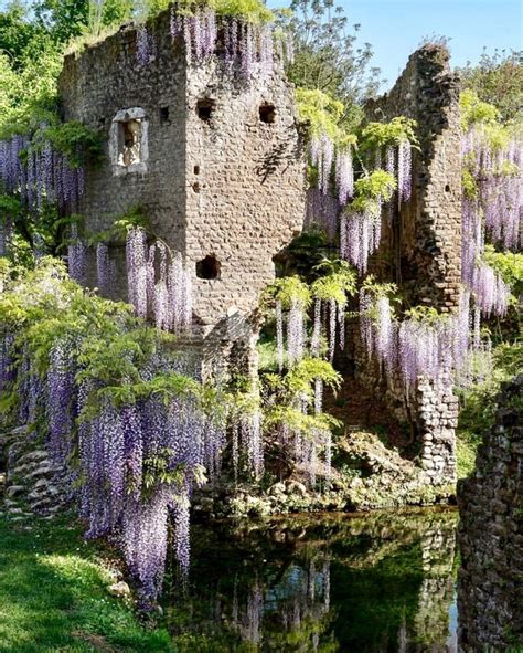 Wisteria | Beautiful gardens, Italian garden, Fire pit area