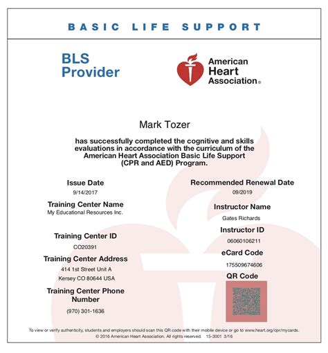 mark tozer's blog: AHA Basic Life Support (CPR and AED) Provider