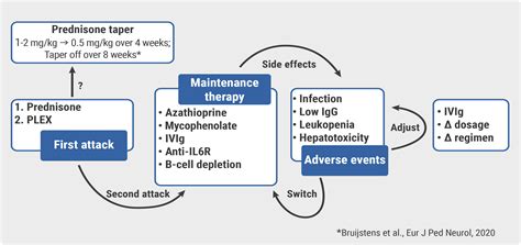 An update on evolving treatment algorithms for NMOSD and MOGAD ...