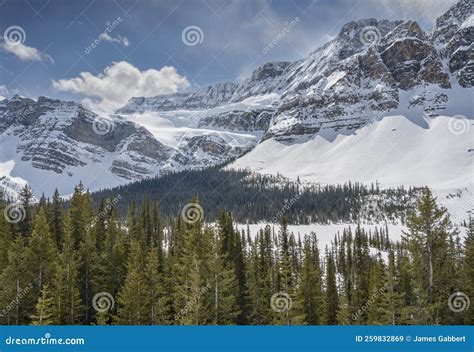 Crowfoot Glacier Above the Bow River Stock Image - Image of forest ...