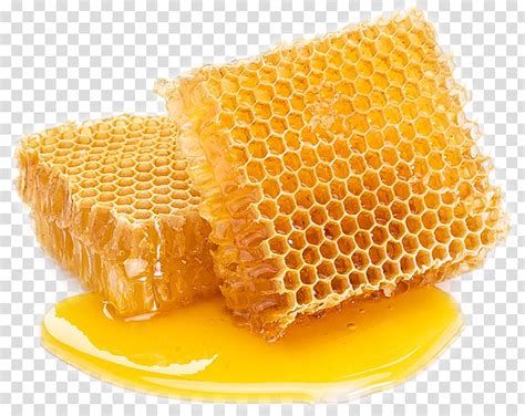 Free download | Honeycomb Bee Comb honey Sugar, pure natural ...