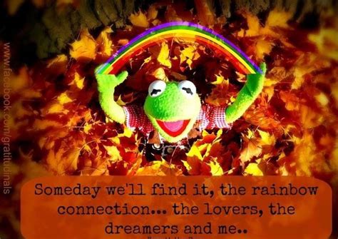 9 Inspirational Quotes from Kermit the Frog! | NineFrogs