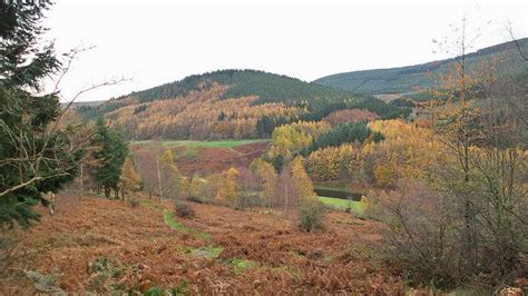 Thornielee in the Tweed Valley Forest Park in the Scottish Borders - http://www.europealacarte ...