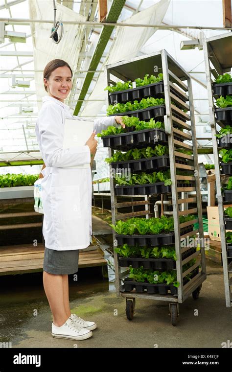 Agronomist at work Stock Photo - Alamy