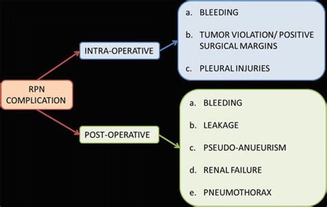 Partial Nephrectomy | Abdominal Key