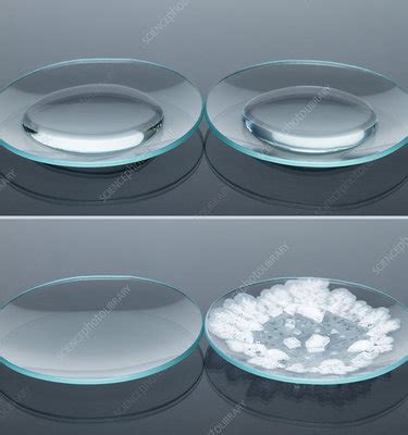 Evaporation of water and salt solution - Stock Image - C036/3503 - Science Photo Library