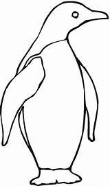 Penguin Coloring Pages 15  Coloringkidsorg sketch template