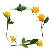 yellow rose border clip art 10 free Cliparts | Download images on Clipground 2024