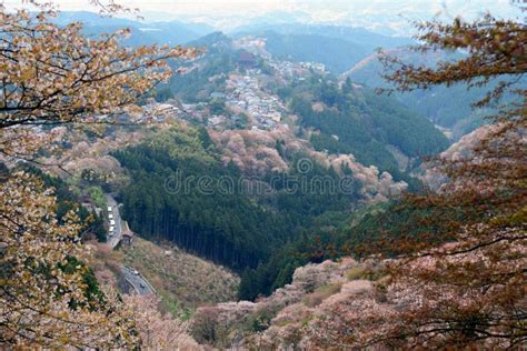 Yoshino Kumano Park Stock Photos - Free & Royalty-Free Stock Photos ...