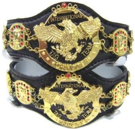 NWA International Tag Team Champions | Pro wrestling, Wrestling gear ...