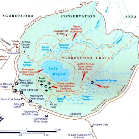 The Ngorongoro Crater | Peak Planet | Africa travel, Africa safari ...