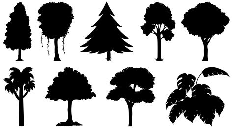 Palm Tree Shadow Vector Art, Icons, and Graphics for Free Download