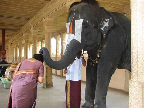 Ramblings and Musings: The Temple Elephant