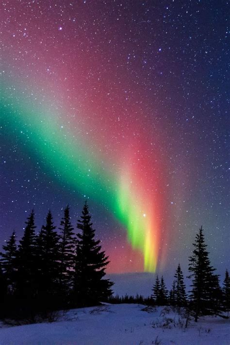 25+ Best Ideas about Northern Lights Canada on Pinterest | Northern ...