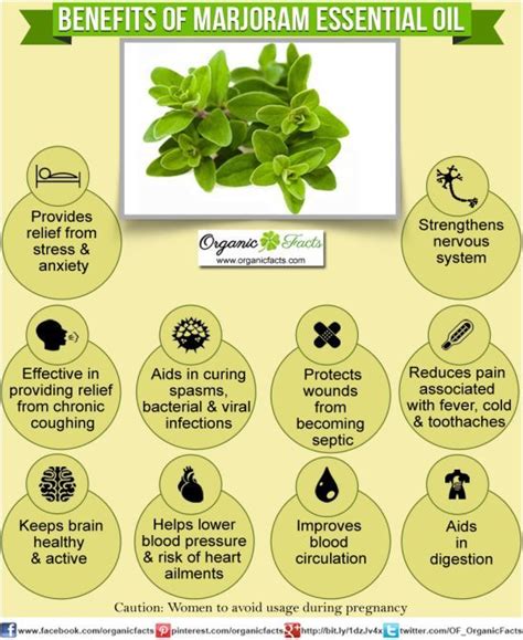 The health benefits of Marjoram Essential Oil can be attributed to its properties like ana ...