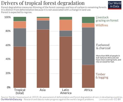 10 Shocking Statistics About Deforestation | Earth.Org