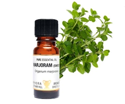 Marjoram Essential Oil benefits