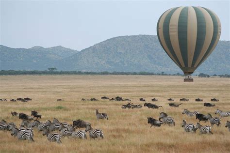 8-Days Serengeti Migration Safari - Tanzania Magic Tours