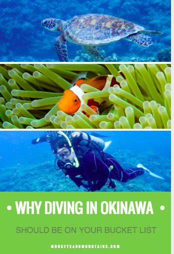 Why Diving in Okinawa, Japan Should Be On Your Bucket List