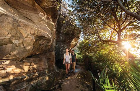 Best nature walks for social walkers | NSW National Parks