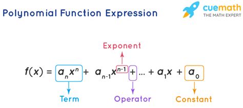 Polynomial function graphmatica - dikithemes