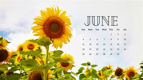 FREE JUNE 2023 DESKTOP CALENDAR BACKGROUNDS (EASY DOWNLOAD)