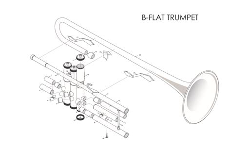 Beginner S Guide Parts Of A Trumpet Diagram - vrogue.co